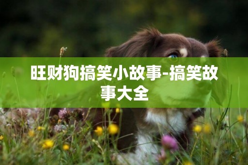 旺財狗搞笑小故事-搞笑故事大全