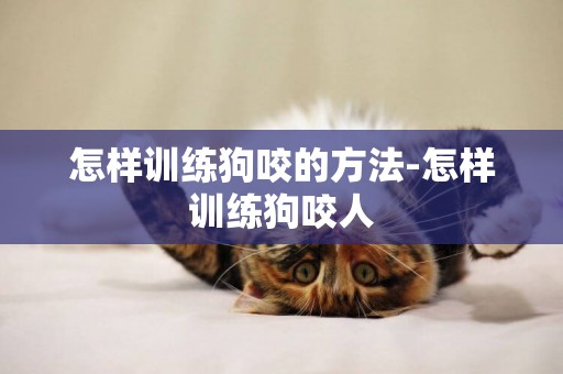 怎樣訓練狗咬的方法-怎樣訓練狗咬人