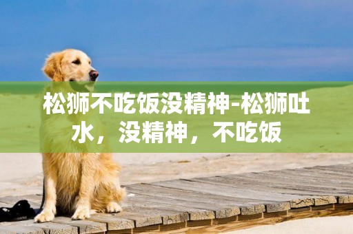 松獅不吃飯沒精神-松獅吐水，沒精神，不吃飯