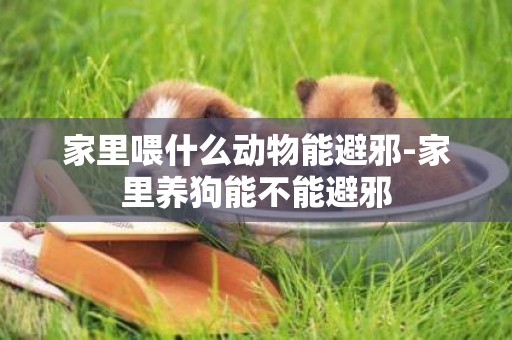 家里喂什么動物能避邪-家里養狗能不能避邪