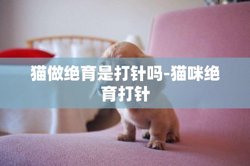 貓做絕育是打針嗎-貓咪絕育打針