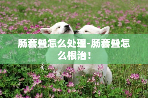 腸套疊怎么處理-腸套疊怎么根治！