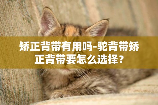 矯正背帶有用嗎-駝背帶矯正背帶要怎么選擇？