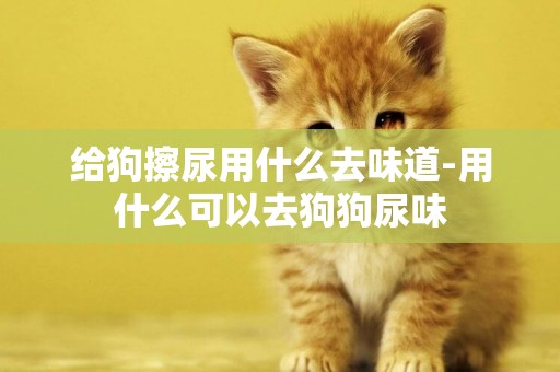 給狗擦尿用什么去味道-用什么可以去狗狗尿味