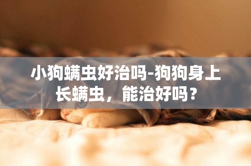 小狗螨蟲好治嗎-狗狗身上長螨蟲，能治好嗎？