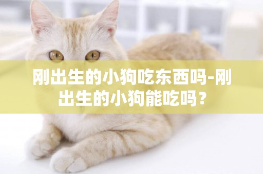 剛出生的小狗吃東西嗎-剛出生的小狗能吃嗎？