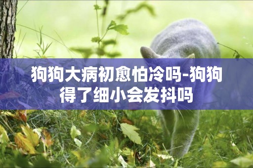 狗狗大病初愈怕冷嗎-狗狗得了細小會發抖嗎