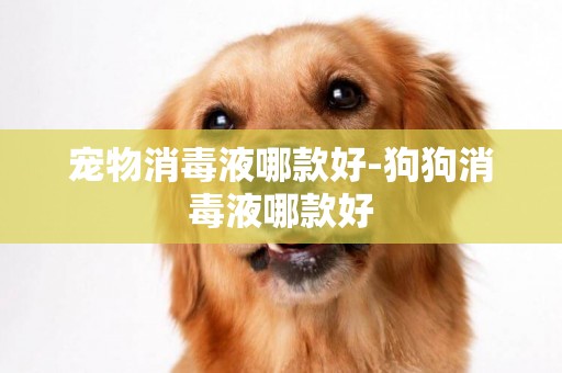 寵物消毒液哪款好-狗狗消毒液哪款好
