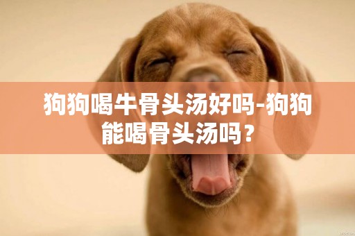 狗狗喝牛骨頭湯好嗎-狗狗能喝骨頭湯嗎？