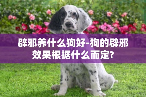 辟邪養什么狗好-狗的辟邪效果根據什么而定?