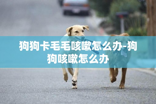 狗狗卡毛毛咳嗽怎么辦-狗狗咳嗽怎么辦