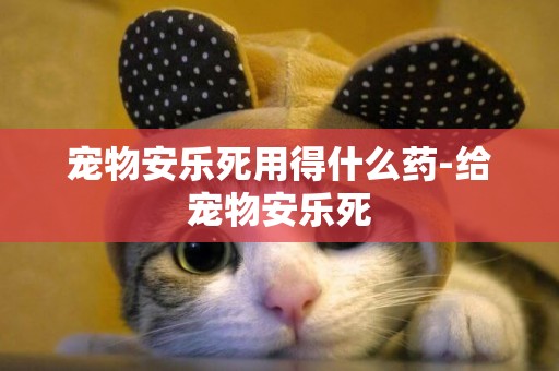 寵物安樂死用得什么藥-給寵物安樂死