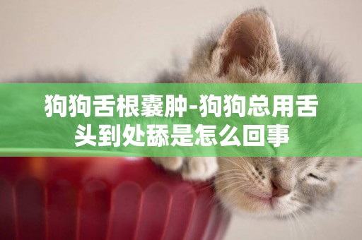 狗狗舌根囊腫-狗狗總用舌頭到處舔是怎么回事
