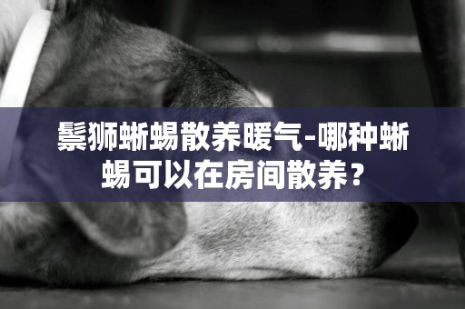 鬃獅蜥蜴散養暖氣-哪種蜥蜴可以在房間散養？