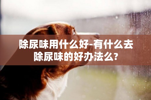 除尿味用什么好-有什么去除尿味的好辦法么?