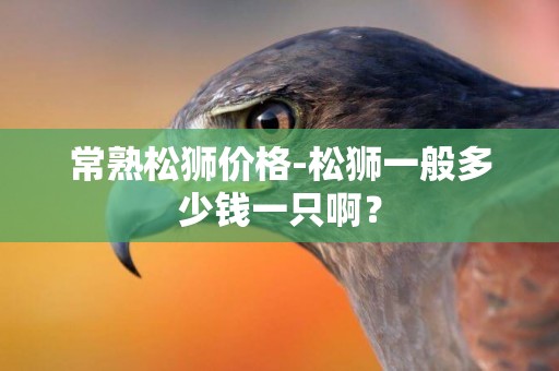 常熟松獅價格-松獅一般多少錢一只啊？