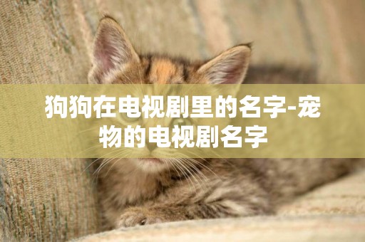 狗狗在電視劇里的名字-寵物的電視劇名字