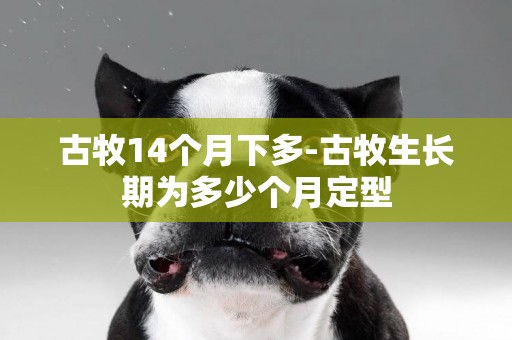 古牧14個月下多-古牧生長期為多少個月定型
