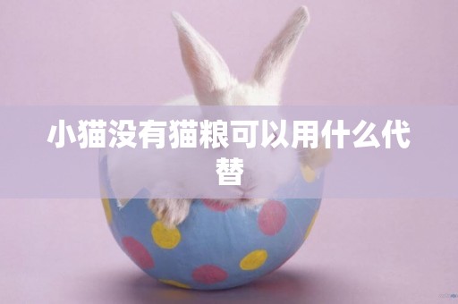 小貓沒有貓糧可以用什么代替