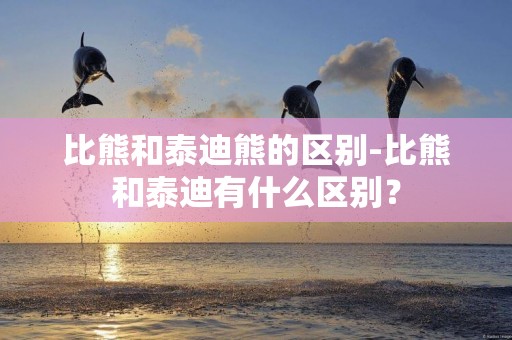 比熊和泰迪熊的區別-比熊和泰迪有什么區別？
