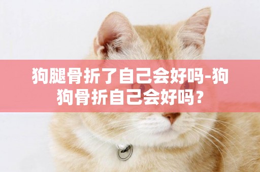 狗腿骨折了自己會好嗎-狗狗骨折自己會好嗎？