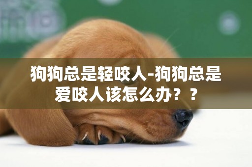 狗狗總是輕咬人-狗狗總是愛咬人該怎么辦？？