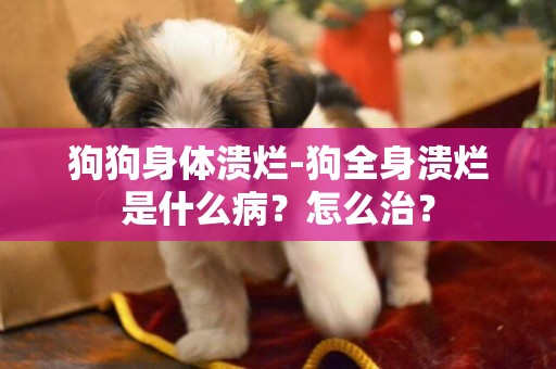 狗狗身體潰爛-狗全身潰爛是什么病？怎么治？