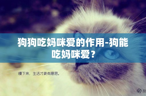 狗狗吃媽咪愛的作用-狗能吃媽咪愛？