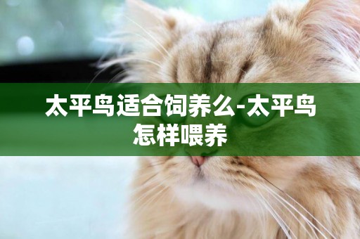 太平鳥適合飼養么-太平鳥怎樣喂養