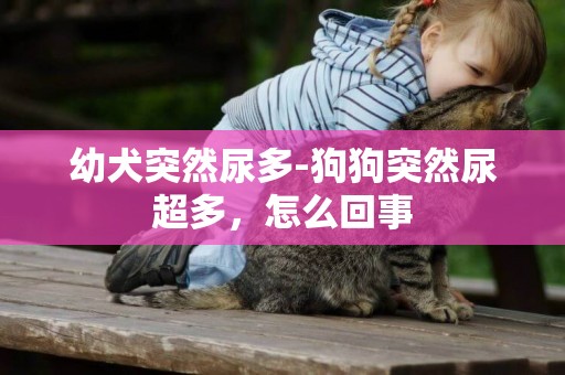 幼犬突然尿多-狗狗突然尿超多，怎么回事