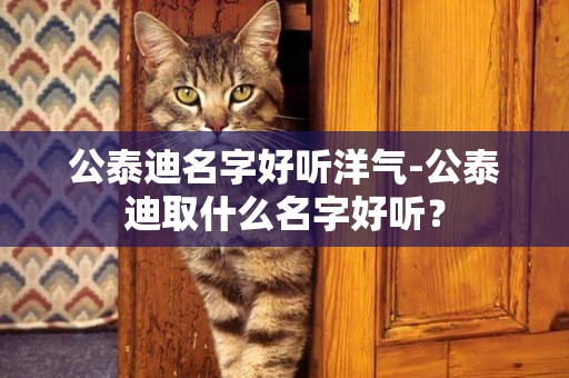 公泰迪名字好聽洋氣-公泰迪取什么名字好聽？