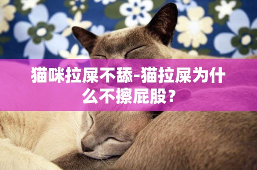 貓咪拉屎不舔-貓拉屎為什么不擦屁股？