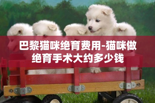 巴黎貓咪絕育費用-貓咪做絕育手術大約多少錢