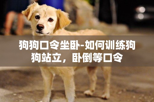 狗狗口令坐臥-如何訓練狗狗站立，臥倒等口令