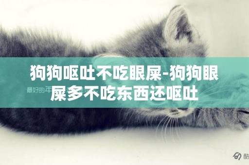 狗狗嘔吐不吃眼屎-狗狗眼屎多不吃東西還嘔吐