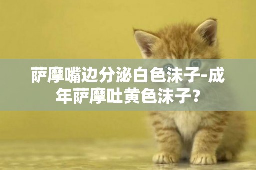 薩摩嘴邊分泌白色沫子-成年薩摩吐黃色沫子？