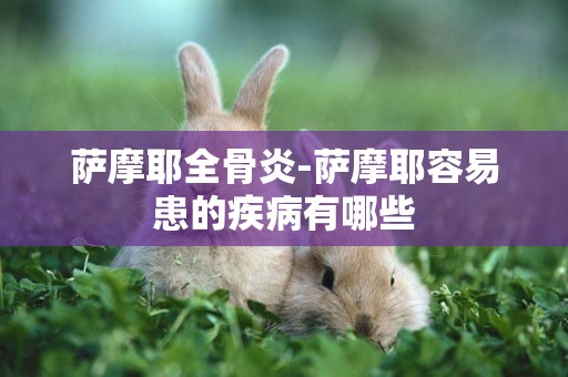 薩摩耶全骨炎-薩摩耶容易患的疾病有哪些