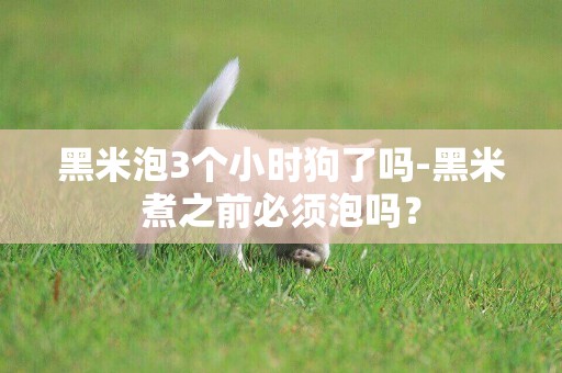 黑米泡3個小時狗了嗎-黑米煮之前必須泡嗎？