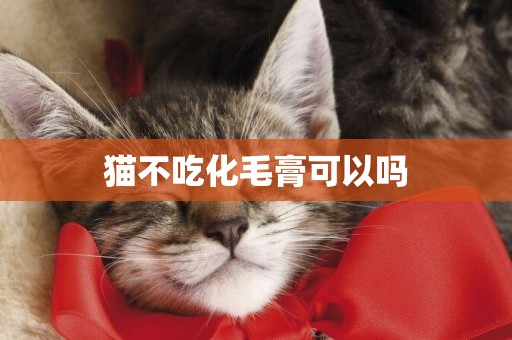 貓不吃化毛膏可以嗎
