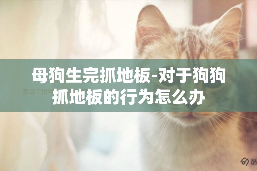 母狗生完抓地板-對于狗狗抓地板的行為怎么辦