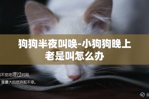 狗狗半夜叫喚-小狗狗晚上老是叫怎么辦