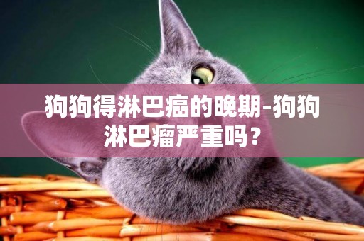 狗狗得淋巴癌的晚期-狗狗淋巴瘤嚴重嗎？