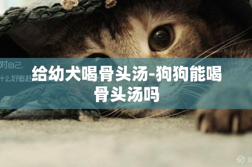 給幼犬喝骨頭湯-狗狗能喝骨頭湯嗎