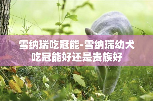 雪納瑞吃冠能-雪納瑞幼犬吃冠能好還是貴族好