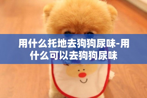 用什么托地去狗狗尿味-用什么可以去狗狗尿味