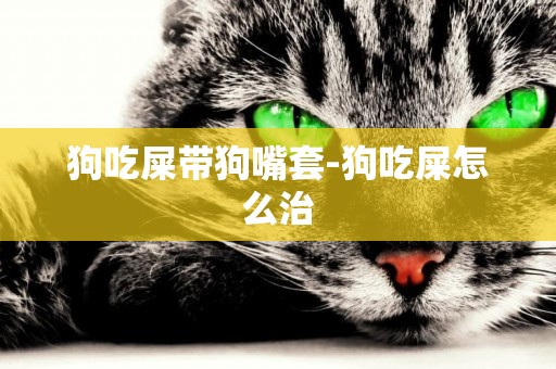 狗吃屎帶狗嘴套-狗吃屎怎么治