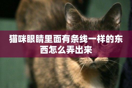 貓咪眼睛里面有條線一樣的東西怎么弄出來