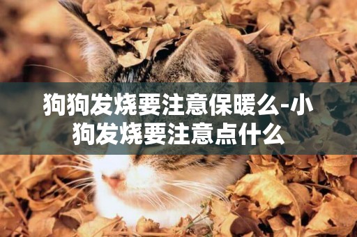 狗狗發燒要注意保暖么-小狗發燒要注意點什么