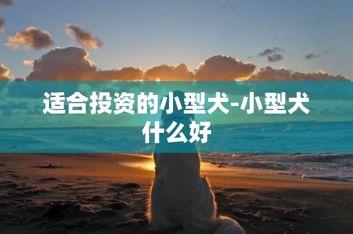 適合投資的小型犬-小型犬什么好
