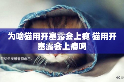 為啥貓用開塞露會上癮 貓用開塞露會上癮嗎